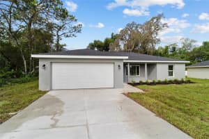 78 MALAUKA RADIAL, OCKLAWAHA, FL 32179 - MLS#MFRO6361471