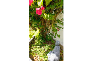 2363 68TH AVE S, ST PETERSBURG, FL 33712 - MLS#MFRO6361495