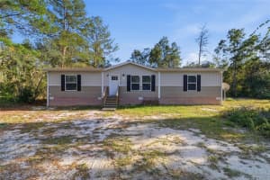 25800 BLUE LAKES DRIVE, PAISLEY, FL 32767 - MLS#MFRO6361535