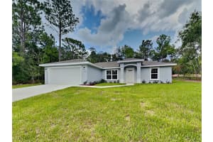 238 RUSKA PLACE, CITRUS SPRINGS, FL 34434 - MLS#MFRO6361634