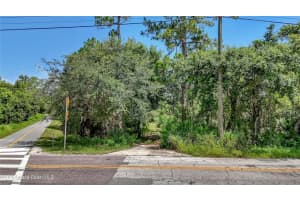 4300 BURKHOLM ROAD, MIMS, FL 32754 - MLS#MFRO6361851