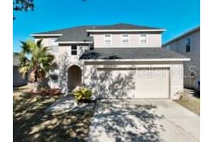 10922 SUBTLE TRAIL DRIVE, RIVERVIEW, FL 33579 - MLS#MFRO6361883
