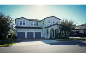 10067 Austrina Oak Loop, WINTER GARDEN 10067 Austrina Oak Loop, WINTER GARDEN