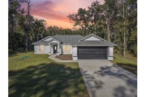 3 SEQUOIA DRIVE TRACE, OCKLAWAHA, FL 32179 - MLS#MFRO6361996