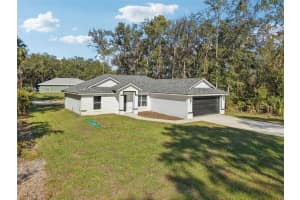 3 SEQUOIA DRIVE TRACE, OCKLAWAHA, FL 32179 - MLS#MFRO6361996
