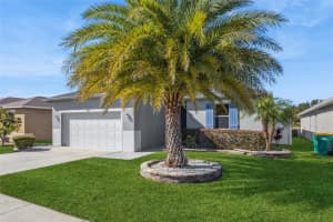 5105 BALLARK STREET, MOUNT DORA, FL 32757 - MLS#MFRO6362080