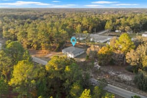 1985 CORRINE STREET, CITRUS SPRINGS, FL 34434 - MLS#MFRO6362199