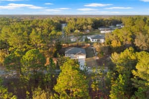 1985 CORRINE STREET, CITRUS SPRINGS, FL 34434 - MLS#MFRO6362199