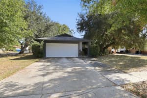 13923 Capitol Dr, TAMPA