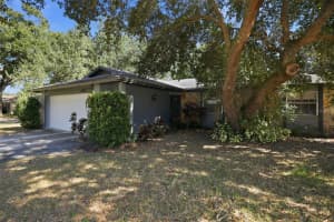 13923 CAPITOL DRIVE, TAMPA, FL 33613 - MLS#MFRO6362443