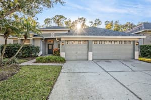 10711 Tavistock Dr, TAMPA 10711 Tavistock Dr, TAMPA