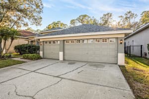 10711 TAVISTOCK DRIVE, TAMPA, FL 33626 - MLS#MFRO6362497