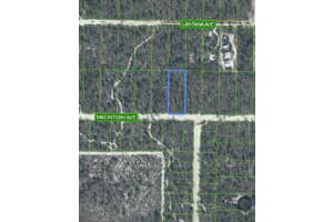 2132 MACINTOSH AVENUE, SEBRING, FL 33875 - MLS#MFRO6362538