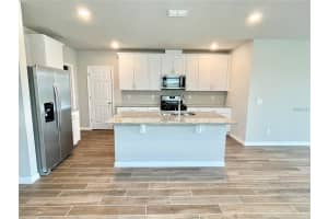 3817 SHOVELER AVENUE, LEESBURG, FL 34748 - MLS#MFRO6362667