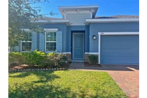 224 AUGUST FERN LOOP, MOUNT DORA, FL 32757 - MLS#MFRO6362723