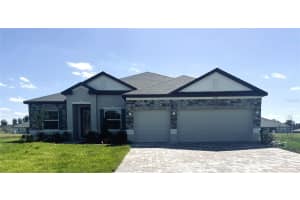 10183 WHITE MAGNOLIA SQUARE, THONOTOSASSA, FL 33592 - MLS#MFRO6362829