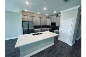 10183 WHITE MAGNOLIA SQUARE, THONOTOSASSA, FL 33592 - MLS#MFRO6362829