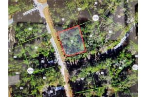 551 ELGROVE DRIVE, CITRUS SPRINGS, FL 34434 - MLS#MFRO6362934