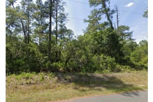 LOT 12 LOCUST TERRACE PS, OCALA, FL 34472 - MLS#MFRO6363062