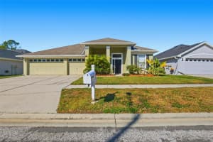 18804 FOREST GLEN COURT, TAMPA, FL 33647 - MLS#MFRO6363138