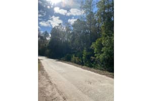 862 LAMAR STREET, LEHIGH ACRES, FL 33974 - MLS#MFRO6363242