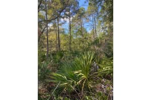 862 LAMAR STREET, LEHIGH ACRES, FL 33974 - MLS#MFRO6363242