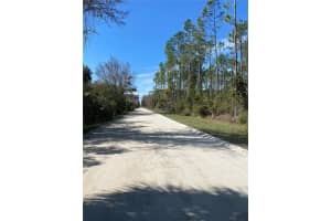 862 LAMAR STREET, LEHIGH ACRES, FL 33974 - MLS#MFRO6363242
