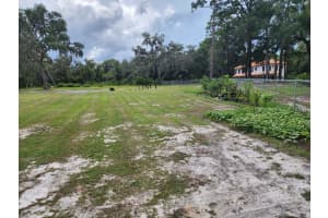 1388 VINTAGE WOODS POINT, SANFORD, FL 32773 - MLS#MFRO6363289