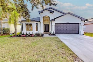 30942 Baclan Dr, WESLEY CHAPEL 30942 Baclan Dr, WESLEY CHAPEL