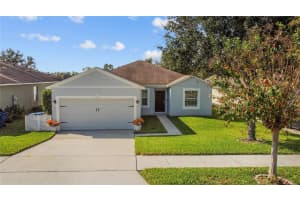 161 PRAIRIE FALCON DRIVE, GROVELAND, FL 34736 - MLS#MFRO6363517
