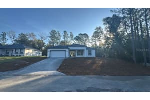 11317 BUNNY TERRACE, CITRUS SPRINGS, FL 34434 - MLS#MFRO6363593