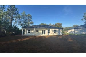 11317 BUNNY TERRACE, CITRUS SPRINGS, FL 34434 - MLS#MFRO6363593