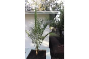 4749 VARGAS STREET, ORLANDO, FL 32811 - MLS#MFRO6363690