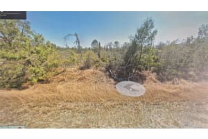 3138 ASTER AVENUE, LAKE PLACID, FL 33852 - MLS#MFRO6363711