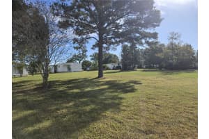 3500 BLOSSOM CIRCLE, ZELLWOOD, FL 32798 - MLS#MFRO6363756