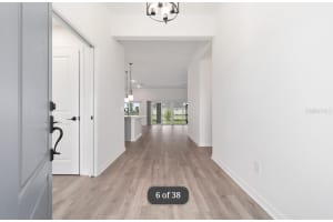 1917 PANLILIO LOOP LOOP, THE VILLAGES, FL 34762 - MLS#MFRO6363817