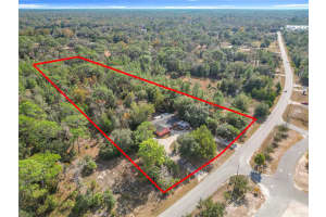 6359 LEWDINGAR DRIVE, HOMOSASSA, FL 34446 - MLS#MFRO6363977