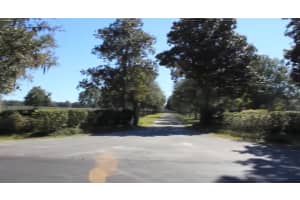 9400 160TH STREET, REDDICK, FL 32686 - MLS#MFRO6364015