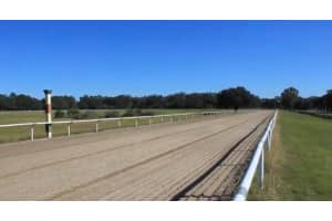 9400 160TH STREET, REDDICK, FL 32686 - MLS#MFRO6364015