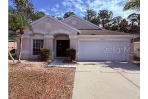 25422 LEXINGTON OAKS BOULEVARD, WESLEY CHAPEL, FL 33544 - MLS#MFRO6364251