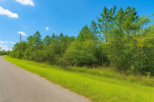 000 ROBERTSON STREET, ORLANDO, FL 32833 Sold 12/12/25