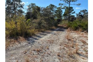 321 SHOWBOAT AVENUE, LAKE PLACID, FL 33852 - MLS#MFRO6364371