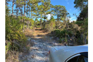 321 SHOWBOAT AVENUE, LAKE PLACID, FL 33852 - MLS#MFRO6364371