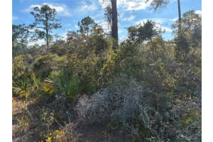 321 SHOWBOAT AVENUE, LAKE PLACID, FL 33852 - MLS#MFRO6364371