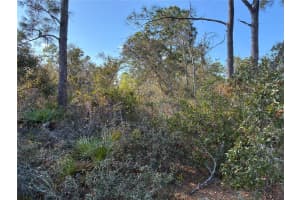 321 SHOWBOAT AVENUE, LAKE PLACID, FL 33852 - MLS#MFRO6364371