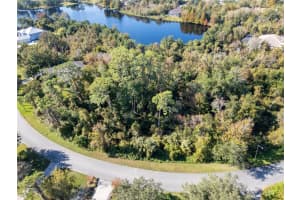 3827 RAMBLING ACRES DR, TITUSVILLE, FL 32796 - MLS#MFRO6364375