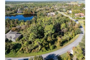 3827 RAMBLING ACRES DR, TITUSVILLE, FL 32796 - MLS#MFRO6364375