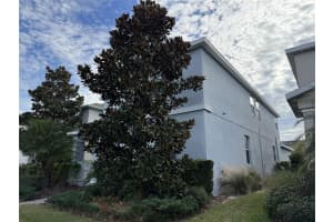 11818 EPIC AVENUE, ORLANDO, FL 32832 - MLS#MFRO6364427