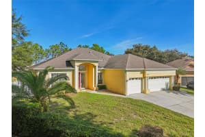 847 CURA COURT, OAKLAND, FL 34787 - MLS#MFRO6364456