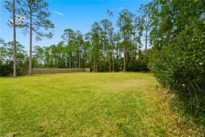 BRAY RD, ORLANDO, FL 32832 - MLS#MFRO6364519